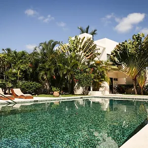 H2o 3*, Tulum Mexico